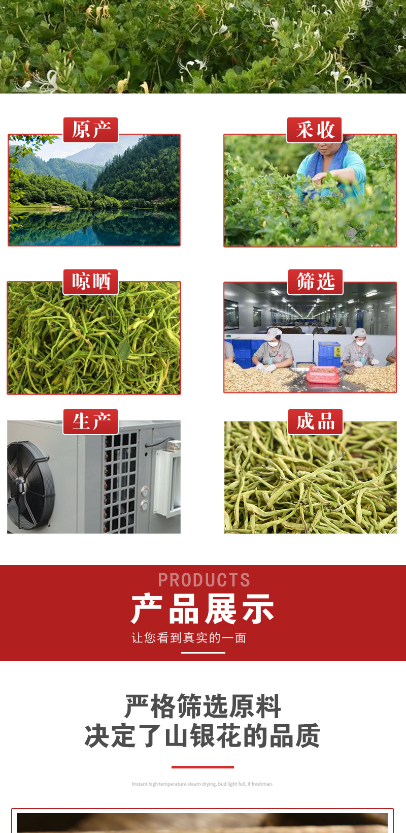 Shan Yin Hua Dried Flower Buds (Lonicera macranthoides) — 500g Loose Herbal Tea specifications