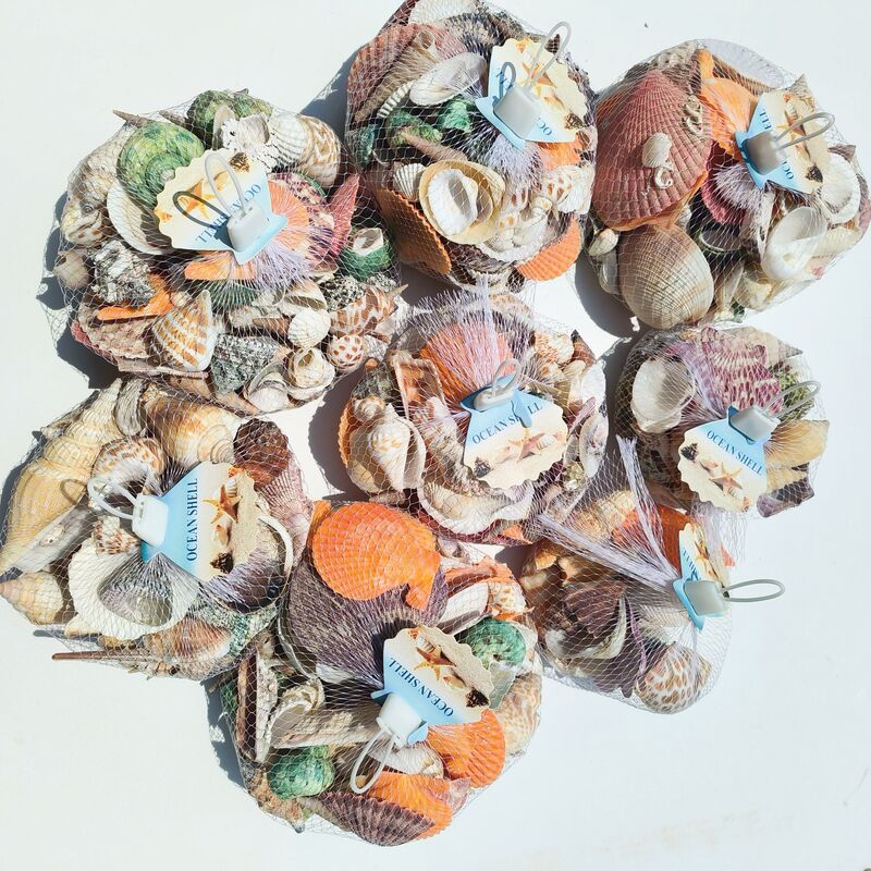 Natural Conch Shell Sell Starfish Hermit Crab Replacement Shell Fish Tank Landscape Drift Bottle Handmade Painting Material Natural Conch Shell Sell Starfish Hermit Crab Replacement Shell Fish Tank Landscape Drift Bottle Handmade Painting Material