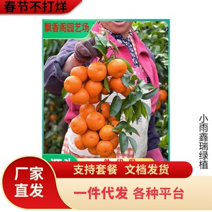 ���٘�������۽���ͥԺ�������Ә��̨���Լ޽ӹ�����Ӯ���Y��