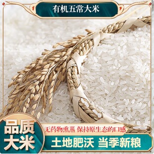 �峣���׶Y����հ��b�|���������׮a��ֱ�l��I�����߶���؛�Y��