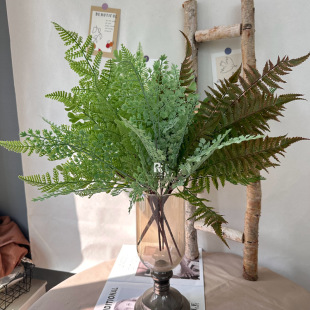 仿真绿植软胶蕨叶波斯草排草假花森系婚礼插花植物墙布景装饰叶子-阿里巴巴
