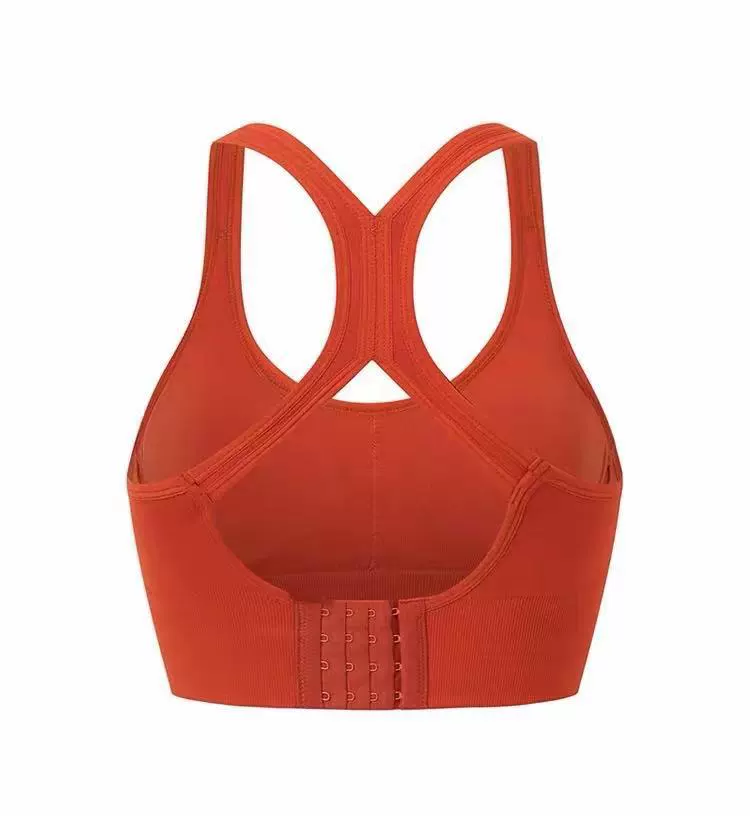 Push-up Wireless Sports Bra, Beautiful Back Racerback with Back Hook, Sizes S–2XL