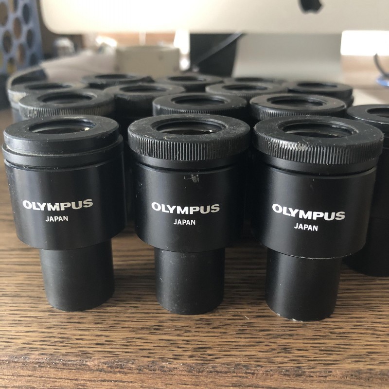 OLYMPUS奥林巴斯WHK 10X/20 L体视显微镜用10倍目镜