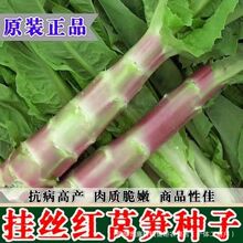 ��z�t�n�S�N���ش�߮a�tƤ�G�����n�Ĵ��ﶬ���r���߲˷N�Ӵ�ȫ