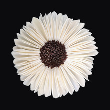 |6cm����diy̫ꖻ����滨�廨�bɻ��Ĕz���߉������������l