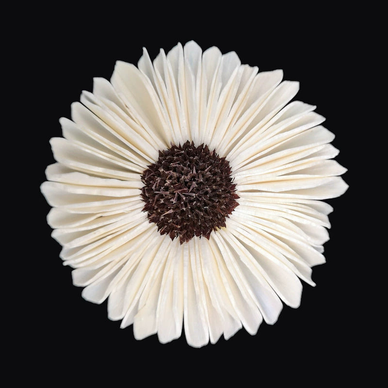 В наличии оптом | 6 см Букет DIY Подсолнечник искусственный цветок художественная Цветочная композиция декоративная сухоцветы реквизит для съемки