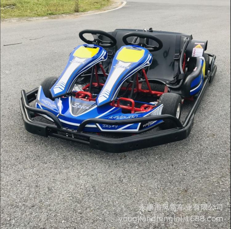 Go-Kart de Pista F1 de Hierro con Transmisión en Cadena para Parque de Atracciones image 3