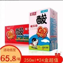 菊乐酸奶整箱酸乐奶酸牛奶含乳饮料250ml*24盒/箱四川特产