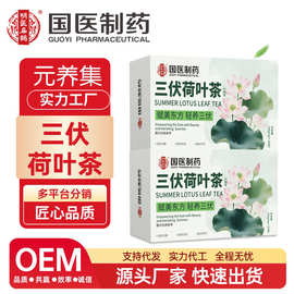 三伏荷叶茶轻轻茶薏苡仁罗汉果赤小豆茯苓栀子荷叶袋泡茶代发批发