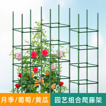 ���Ѽ������t���Nֲ�ܷN���S�ϴ��ֲ�ﻨ������������֧��֧�ΗU