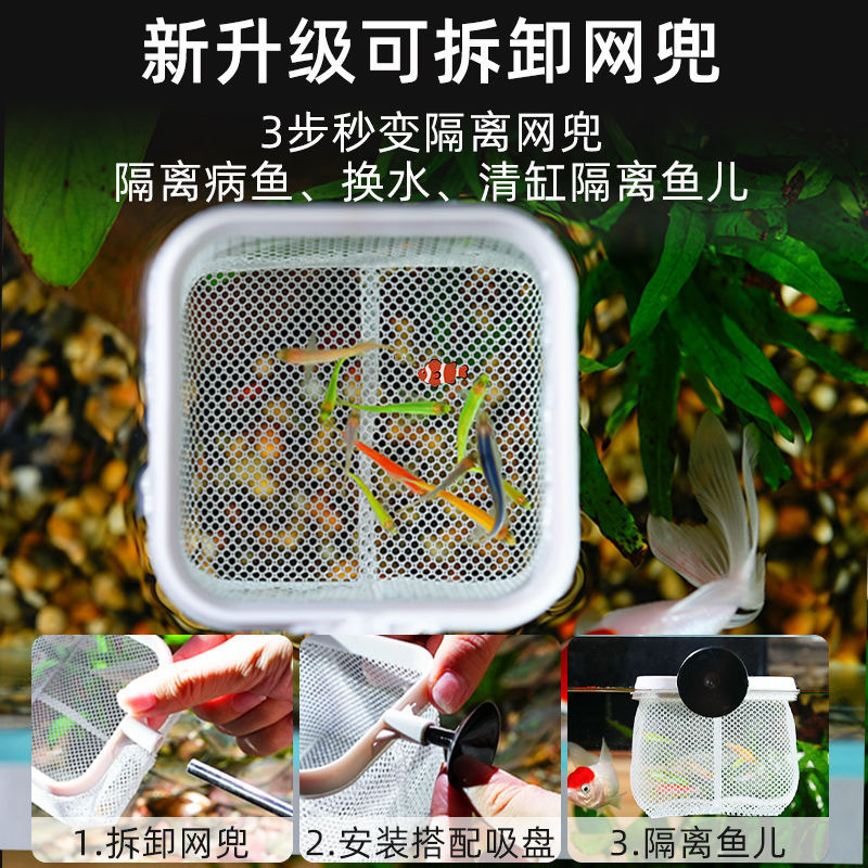 水槽用3D魚網、取り外し可能なステンレス製伸縮式小型漁網、水族館用品、手編み漁網|undefined