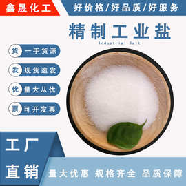 工厂批发 精制工业盐 制冷防冻水产养殖皮革用 工业级工业盐