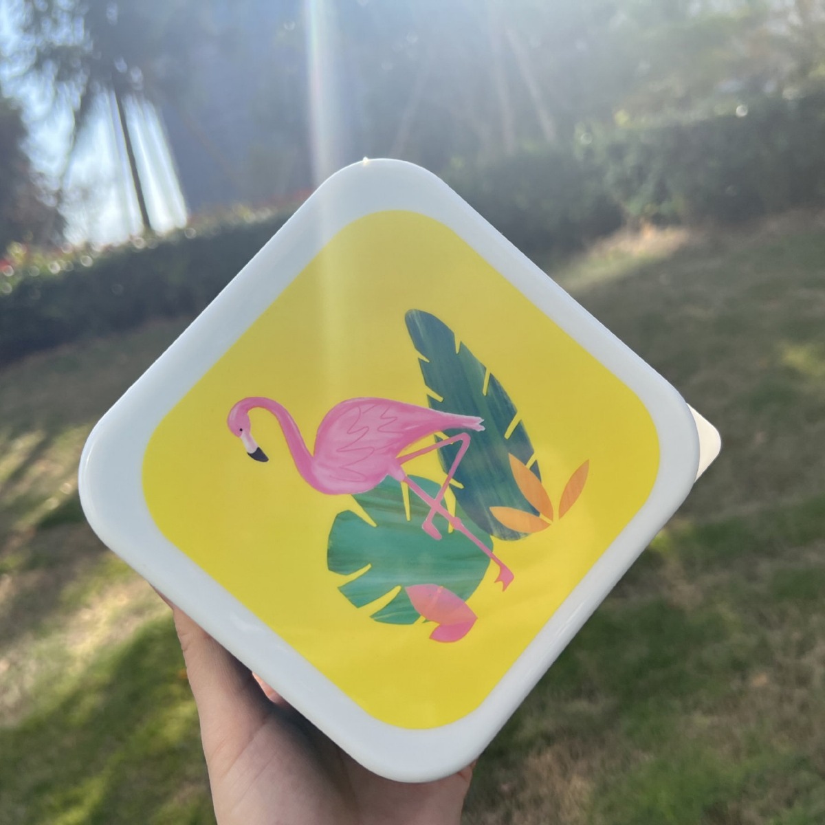 塑料收纳盒不可微波透明水果保鲜盒冰箱食品冷餐盒简约儿童便当盒