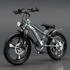 自転車の子供は着きます。