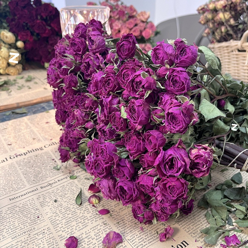 소피 베이비 + 35송이 이상의 장미를 무료로 받으세요