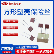 厂家直供塑封方形保险丝 250V2A/300V/方形插件保险丝 电流保险管