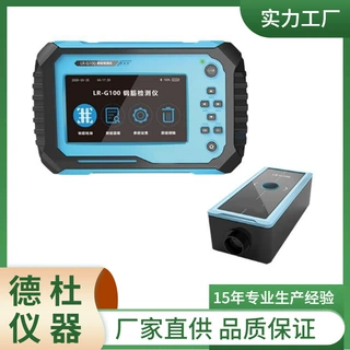 供应LR-G100 钢筋检测仪 钢筋扫描仪
