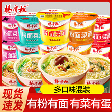 杨掌柜粉菜蛋面桶装方便面金汤肥牛面酸辣粉宿舍夜宵速食泡面整箱