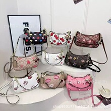 ���Q�羳Ů��2025�W���¿���O����ײɫ������ĸС��б���bags