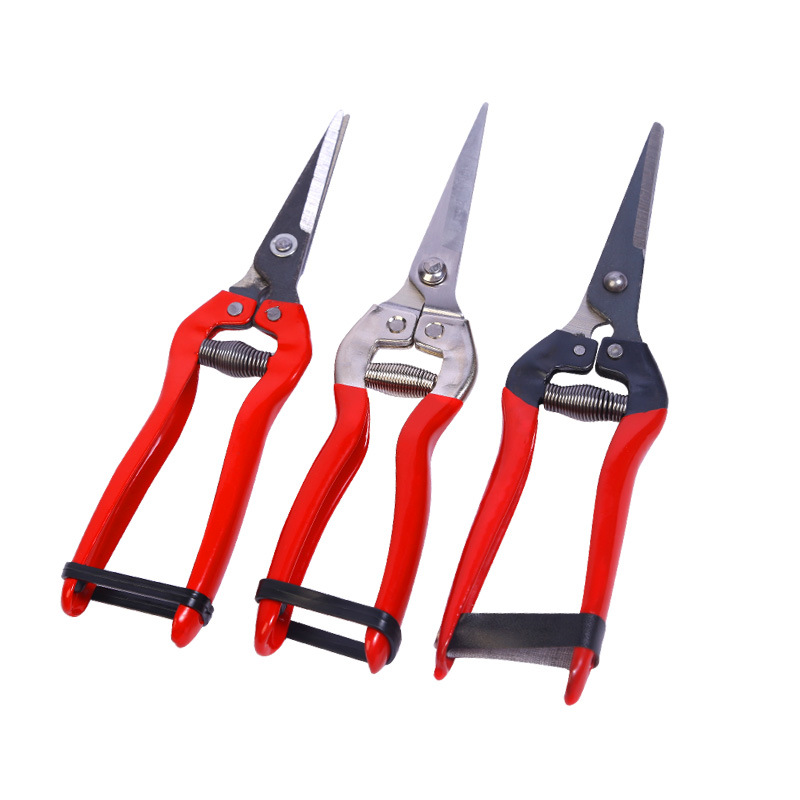 Winda tijeras de recolección de frutas de acero inoxidable cosecha de uvas tijeras de frutas raras tijeras de naranja níspero tijeras de poda de jardinería al por mayor