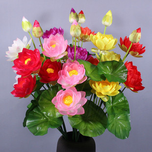 �S�ҹ��� ����7�^�ɻ� �R���� �[�� ��@�L�񽁻��ٻ����l
