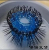 Stranding hair inner diameter 2.0cm double -row blue (remarkable other inner diameter)