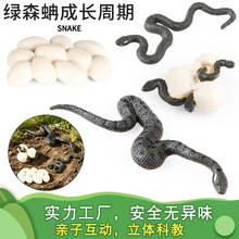 �羳���挍�����Є���ģ�;Gɭ�����L���L���ڃ�ͯ�J֪����b�Ʒ