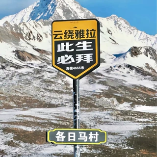 创意网红指示牌318此生广告牌必驾打卡路牌标牌指引导向铁艺拍照