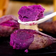 紫薯沙地現挖新鮮紫色紅薯紫羅蘭地瓜新鮮蔬菜粗糧2359廠一件批發