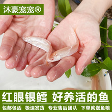 ��������t���L�~�^�p�~��ˮ�~��ˮ�~���B�ͻ��~��ؔ���������[?