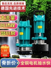 抽水泵家用潜水泵220V高扬程大流量清水农用灌溉深井一寸排水小型