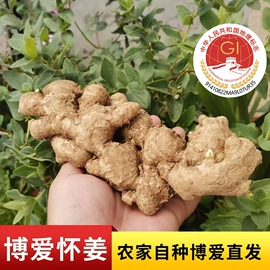 非处方滋补膏;西式糕点;姜茶/姜汤