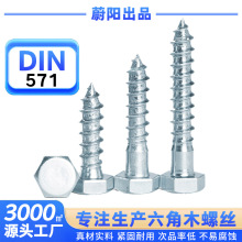 ����ľ�ݽz�������ݽzDIN571��\��˨�Թ��z��ᔿ羳���ڌ���