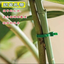 �����������o���K�̶��۸ߏ����K���l�����Gֲ�����������������l