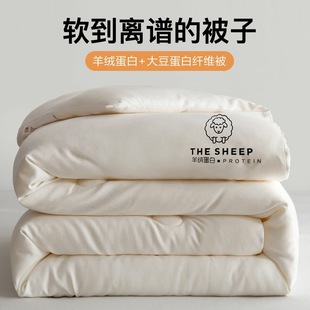 Winter quilt cashmere protein soybean fiber thickened spring and autumn quilt double double double quilt core