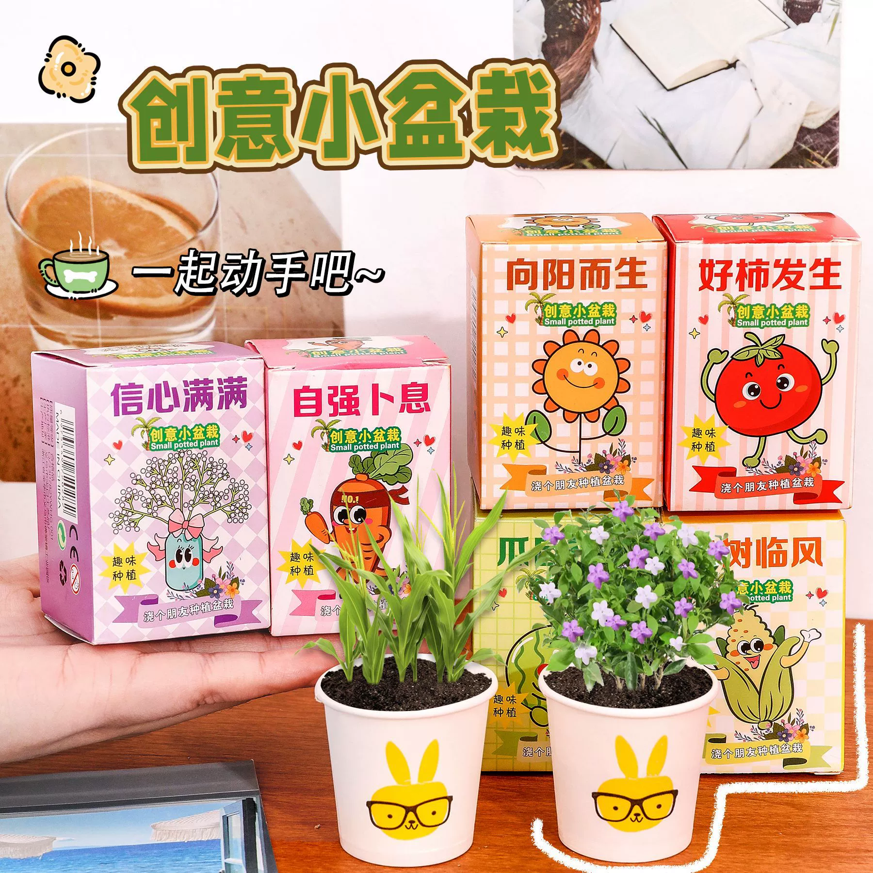 Children's plant planting, blind box potted plants, kindergarten desktop green plant ornaments, student inspirational prizes, gifts, small potted plants