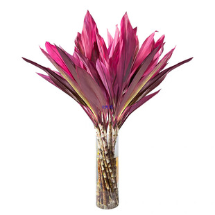 ���F������ˮ��ֲ�����\�ش֗U���w�~�Lˮ�lؔ�九�������͏d