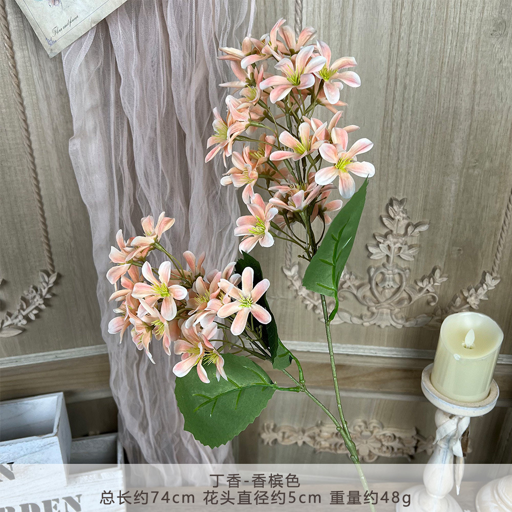 MJ-丁香-香槟色