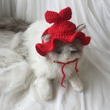 宠物变装帽泰迪狗狗青蛙帽子猫咪花朵毛线帽女仆帽子可爱头套