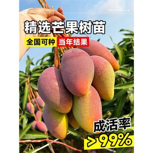 â������ļ��F��â�P�ؼ޽Ә����������Ϸ��̨���Ե��Ժ��B��