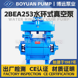 2BEA253水环式真空泵28-49方铸铁不锈钢耐磨防腐水循环泵工厂现货