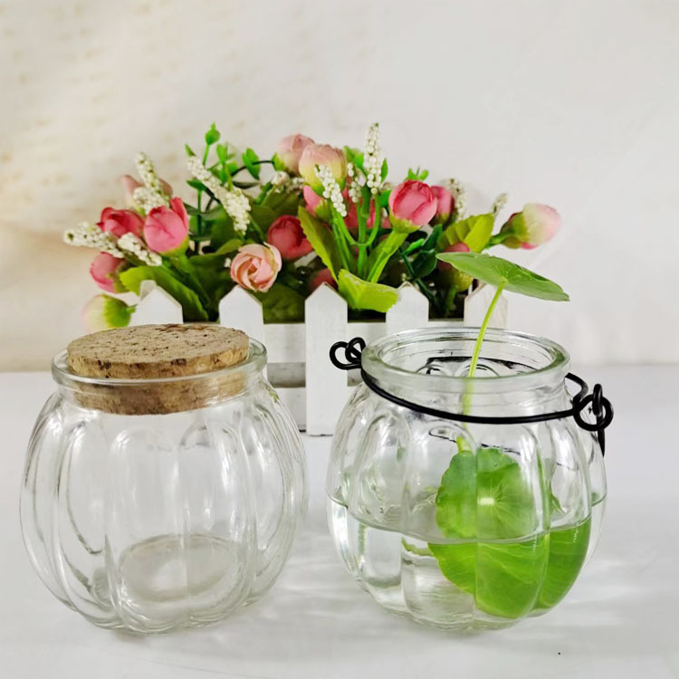 透明南瓜玻璃瓶水培花瓶铁丝小吊瓶木塞香薰瓶玻璃蜡烛罐支持批发
