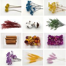 ֲɻdiy޹ϞTo޹ǧӽM˲õ