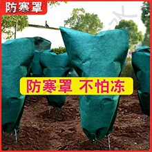 ֲ�������ů�֟o������ľ�������ش��@�־G���辰�����^����̫��