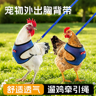 ���u�����K��������ر���͸�����Ӗ������ʽ�����޹��u���l�羳