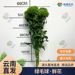 ���r�Gë���r�����l�Gʯ���������ֱ�l����ˮ�B�仨�Gֲ����