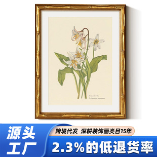 ���R�d���N��ɫ���Ʈ���ˇ�쮋�͹�ѩ���ٺ�ֲ��ӡ��ˇ�g�b�
