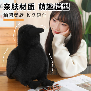 �羳��ɫ���f��ż�}�Q�ڞ��fë�q��ߔ[��С�B�����f�}����ͯ�Y��