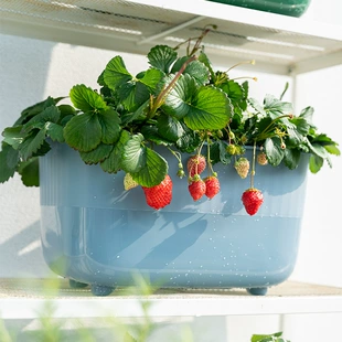 Rectangular flowerpot for living room, water absorbent, Nordic style