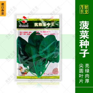 ����ķ���������� ���˷N�� �ļ������Ѻ��~�����s��Ʒ�N�����M��